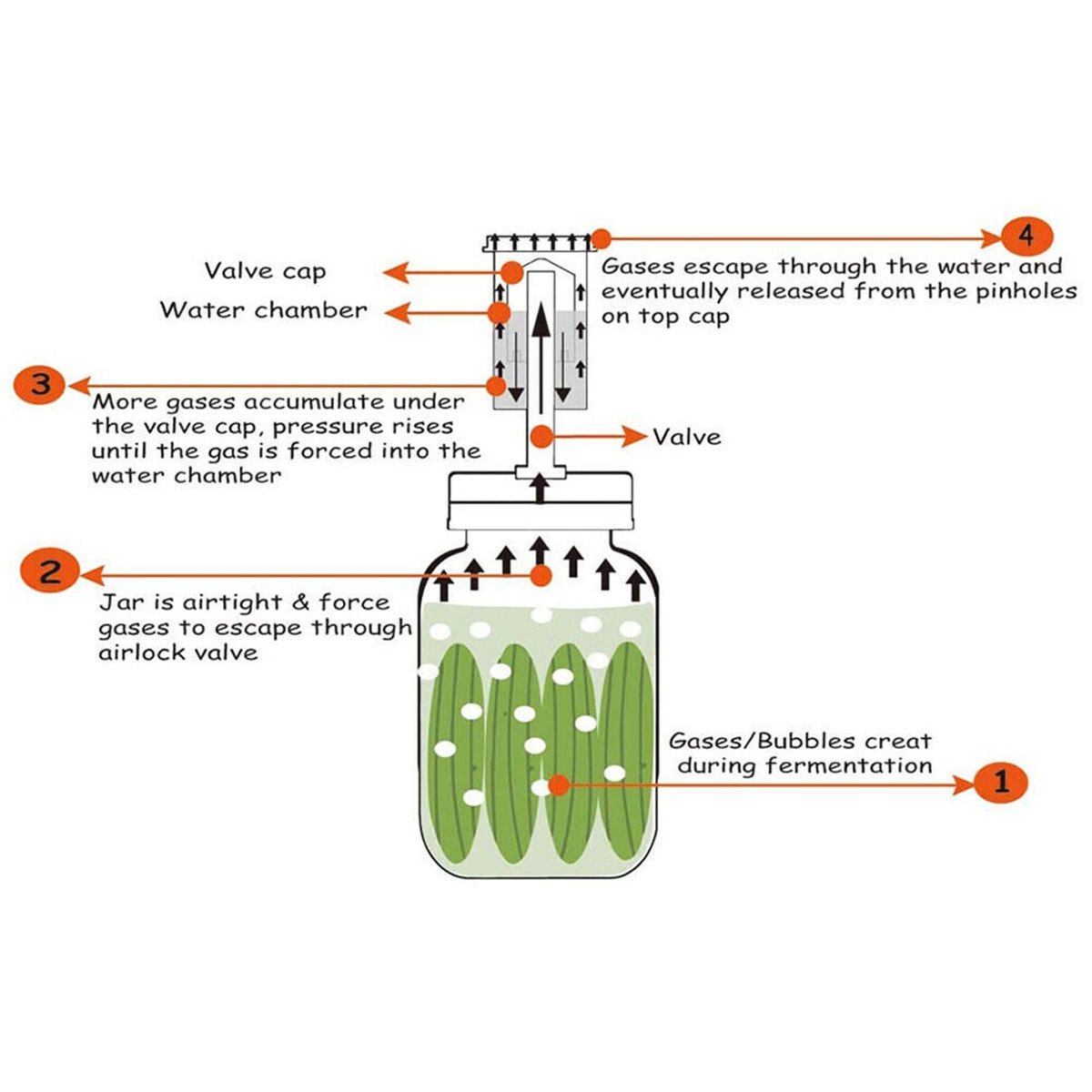 Wine Beer And Cider - Lot de 4 couvercles de fermentation